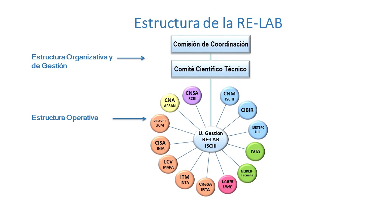 Estructura de la RE-LAB.jpg