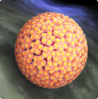 Hepatitis y papiloma
