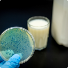Infecciones bacterianas transmitidas por agua y alimentos