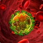 Retrovirus