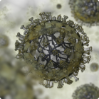 Virus respiratorios