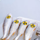 Contaminación Radioactiva
