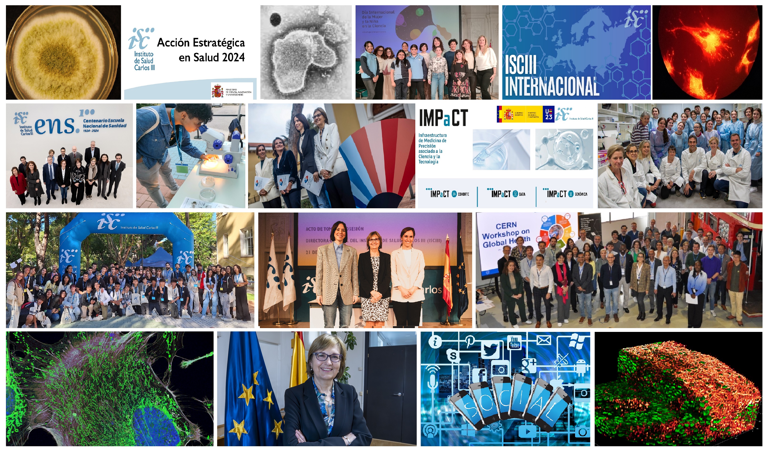 Resumen del año: así ha sido 2024 en el ISCIII - ISCIII Portal Web